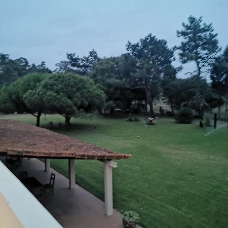 فيلا T1 Na Casa Da Quinta S Jose برايا دي ميرا المظهر الخارجي الصورة